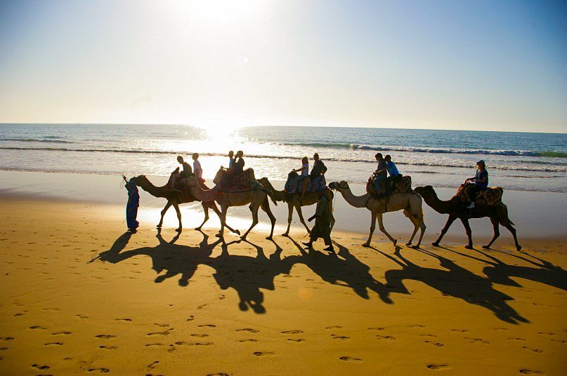 Camel caravan crossing dunes on a desert excursion from Tamraght