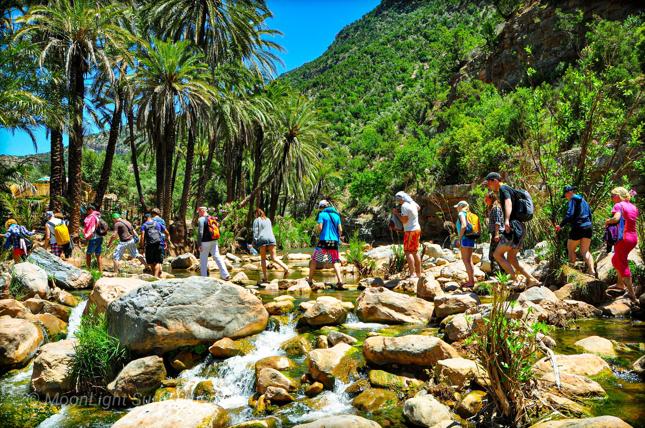 Guests and crew hiking through Paradise Valley on an inland excursion