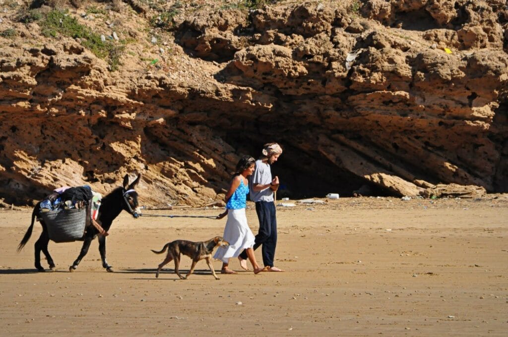 history of surfing in morocco