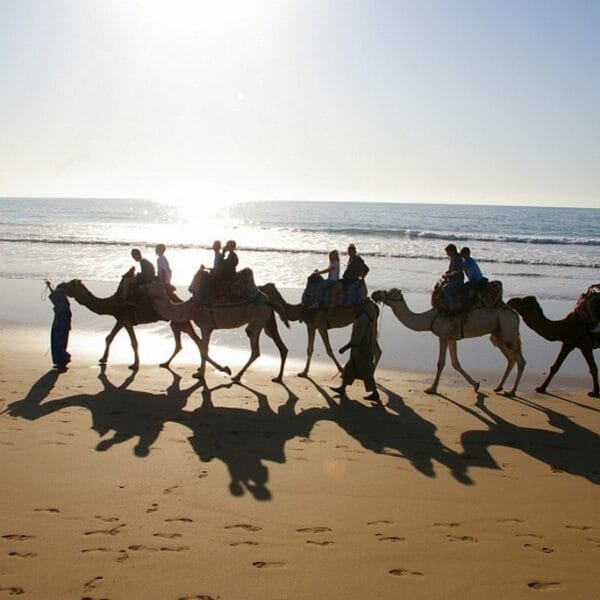Surf and Yoga Retreats Morocco.