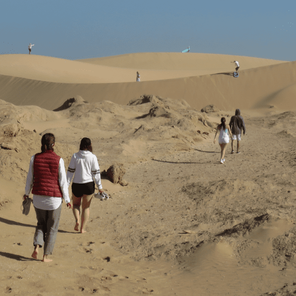 Surfing Safari Morocco