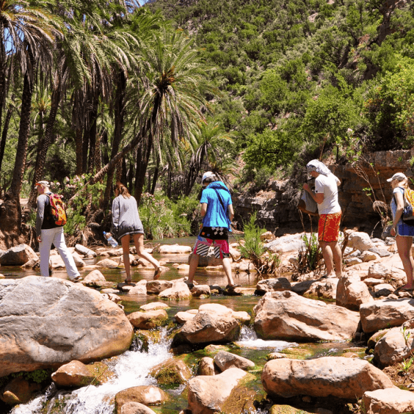 paradise Valley Morocco, Surf Discovery